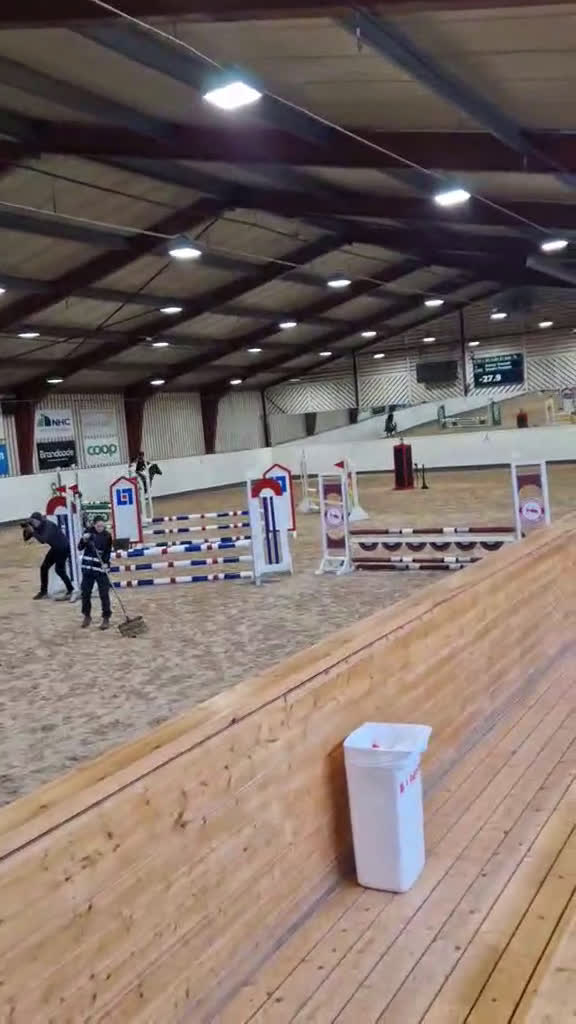 Hoppning hästar till salu: Allroundponny med utstrålning🐴 i Järvsö - Video 2