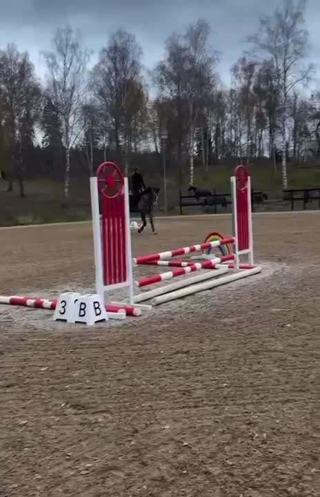 Hoppning hästar till salu: Hopp/fälttävlan talang - Video 2