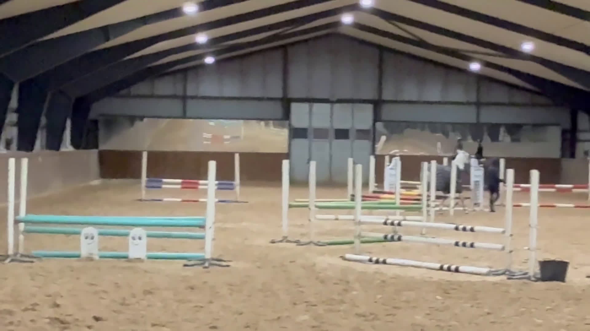 Allround hästar till salu: Snygg Valack Tillsalu - Video 2