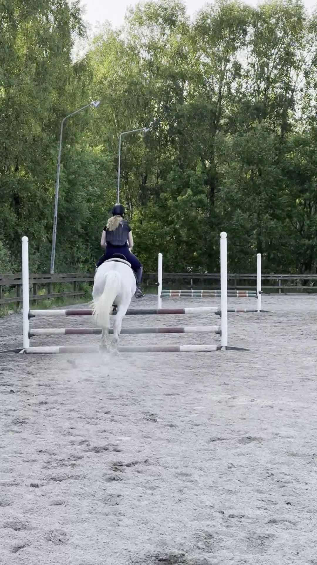 Allround hästar till salu: Snäll valack i Lysekil - Video 5