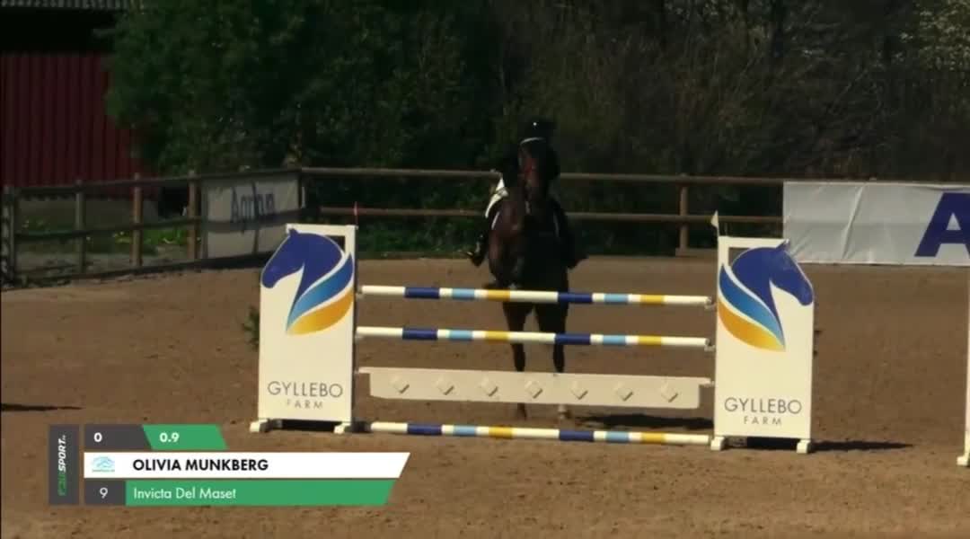 Hoppning hästar till salu: Spektakulärt sto med ett hjärta av guld!!💕🌟 - Video 2