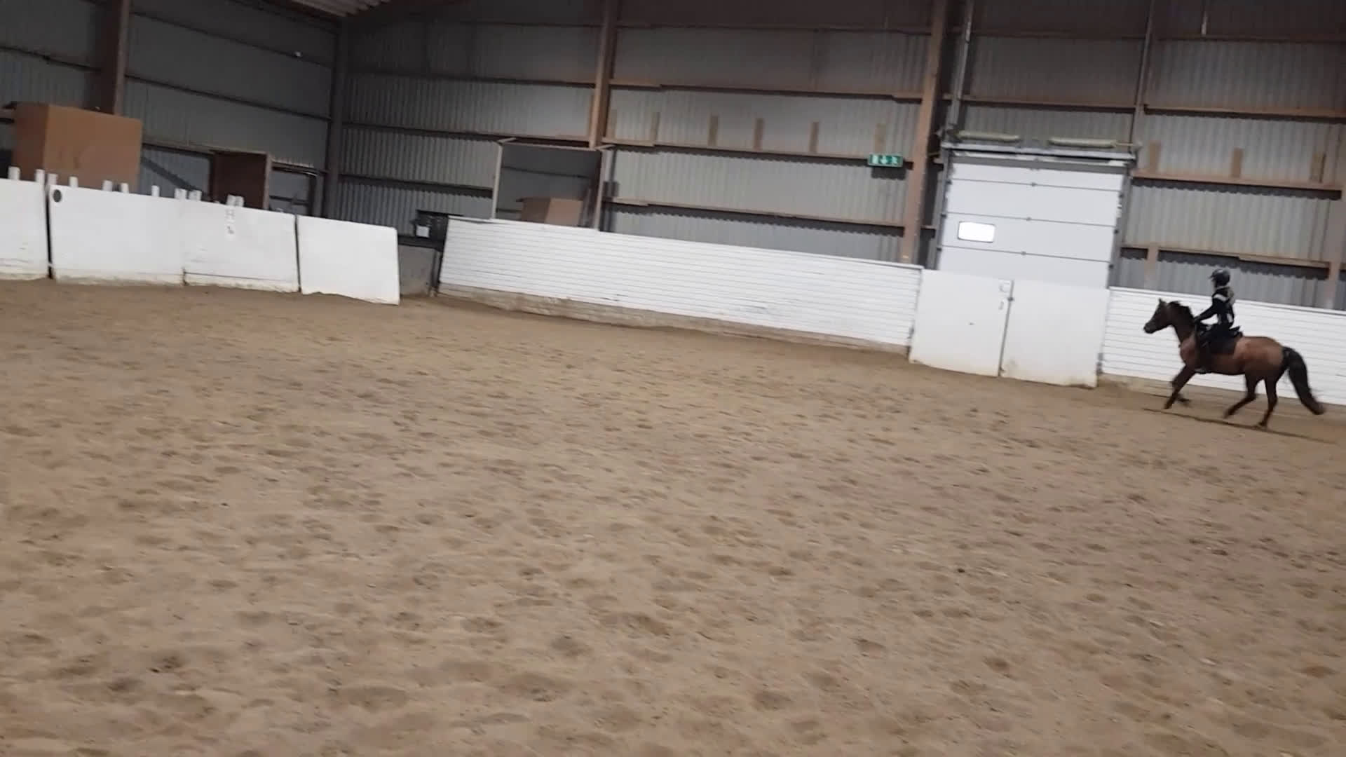 Allround hästar till salu: Ridponnysto - Video 5