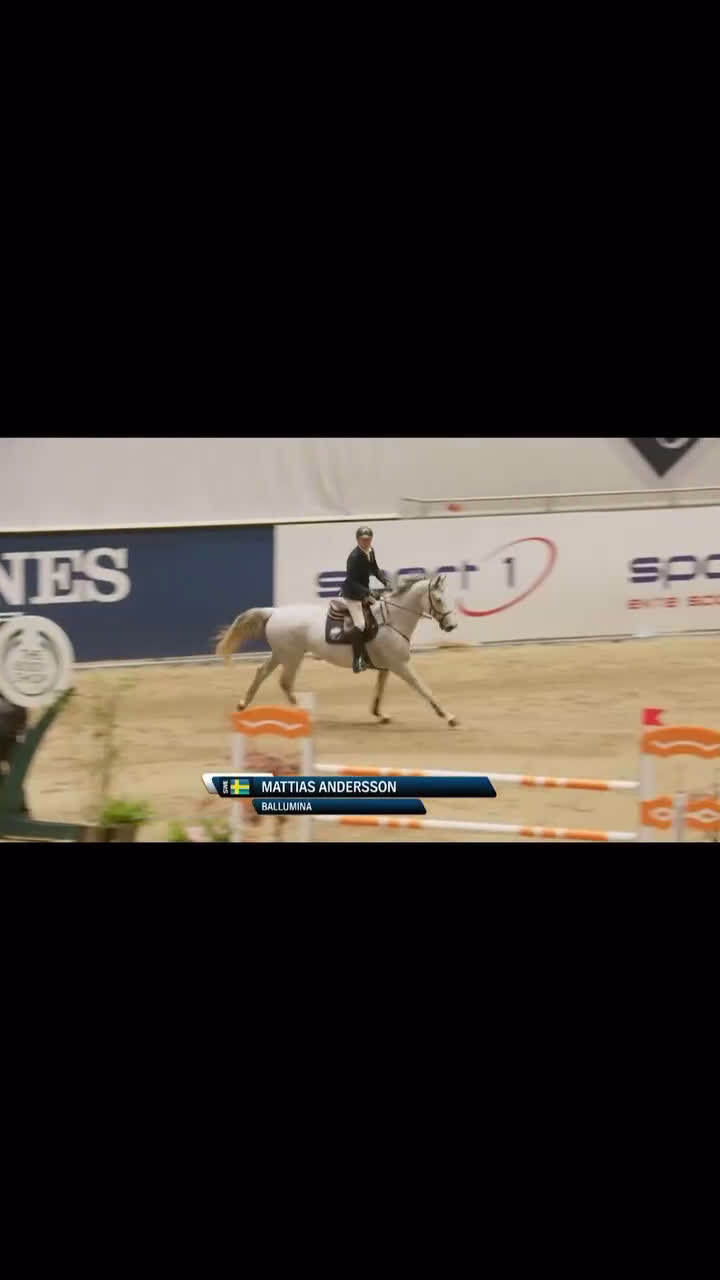 Allround hästar till salu: Fantastisk juniorhäst/läromästare! i Laholm - Video 1