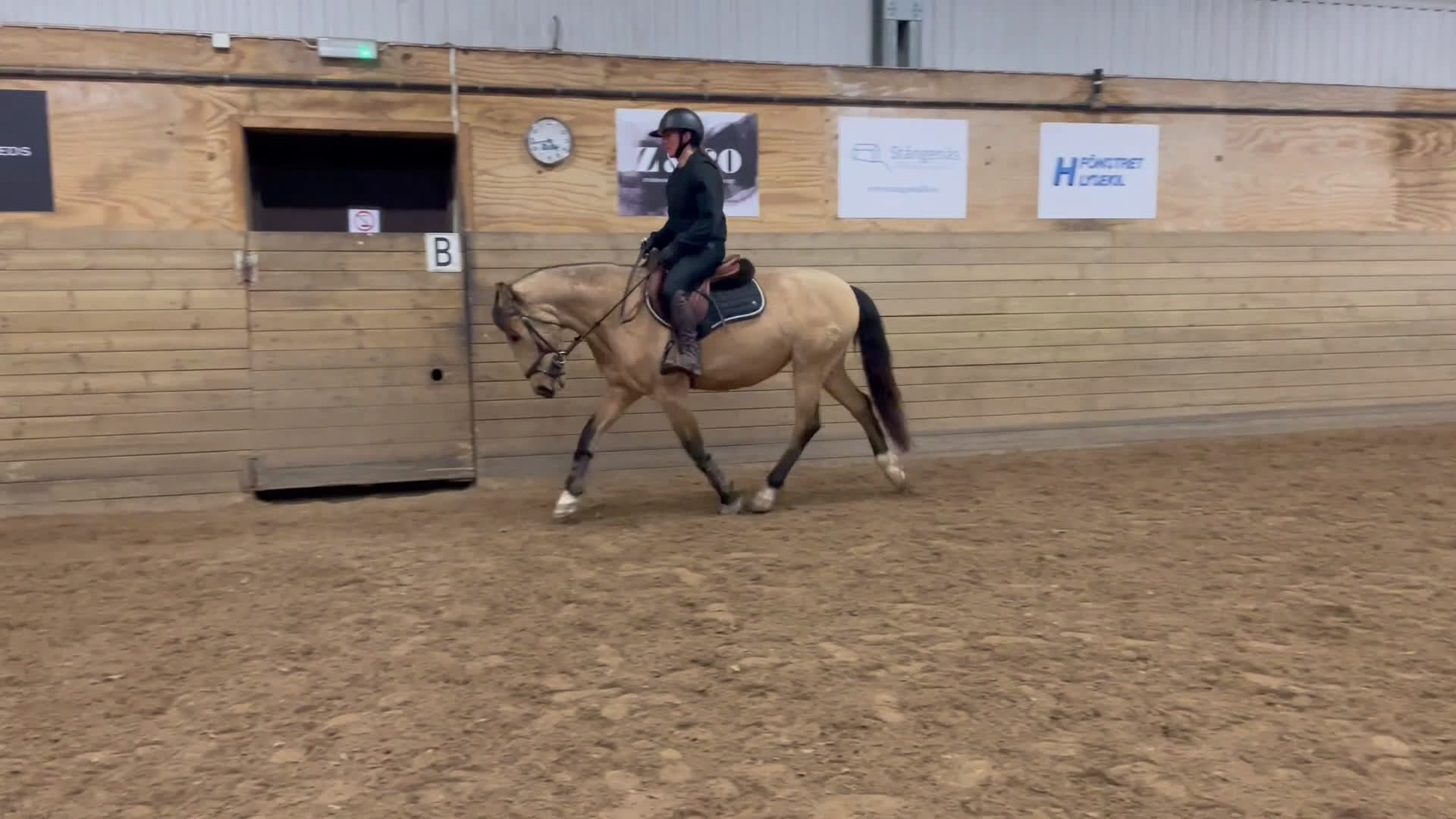 Allround hästar till salu: Hoppglad D-ponny i Lysekil - Video 1