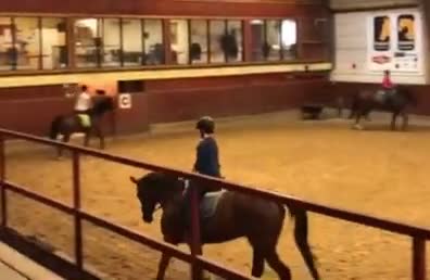  medryttarhäst sökes: Medryttarhäst sökes i Enköping - Video 2