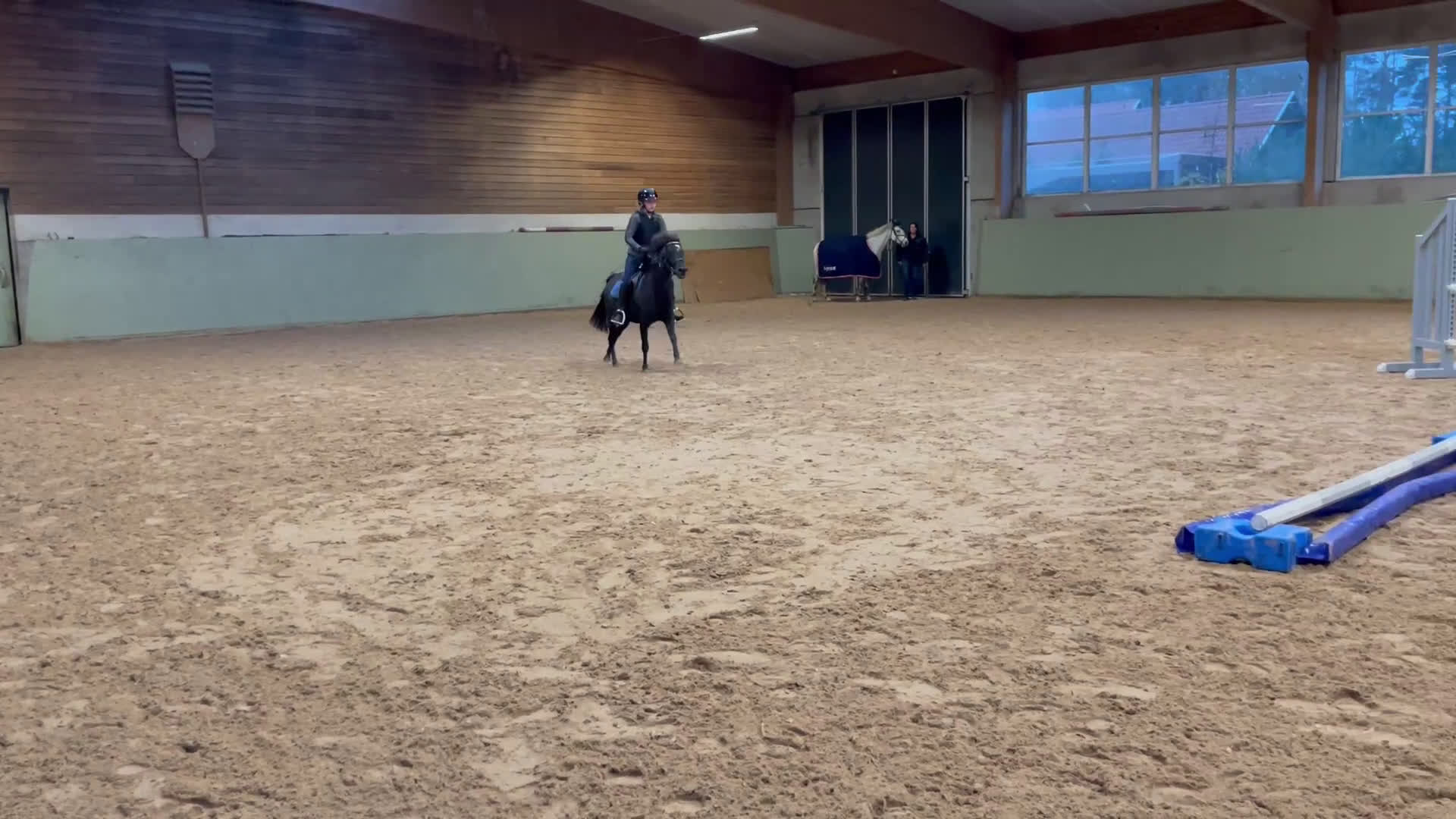 Hoppning hästar till salu: Välstammad B-ponny mot hopp i Löddeköpinge - Video 1