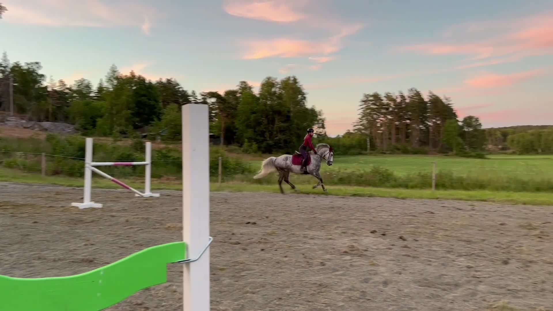 Hoppning hästar till salu: Hopptalang med ett hjärta av guld i Örebro - Video 1