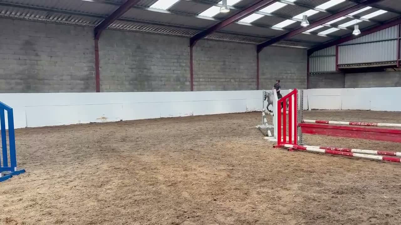Hoppning hästar till salu: Jumping Pony  - Video 1
