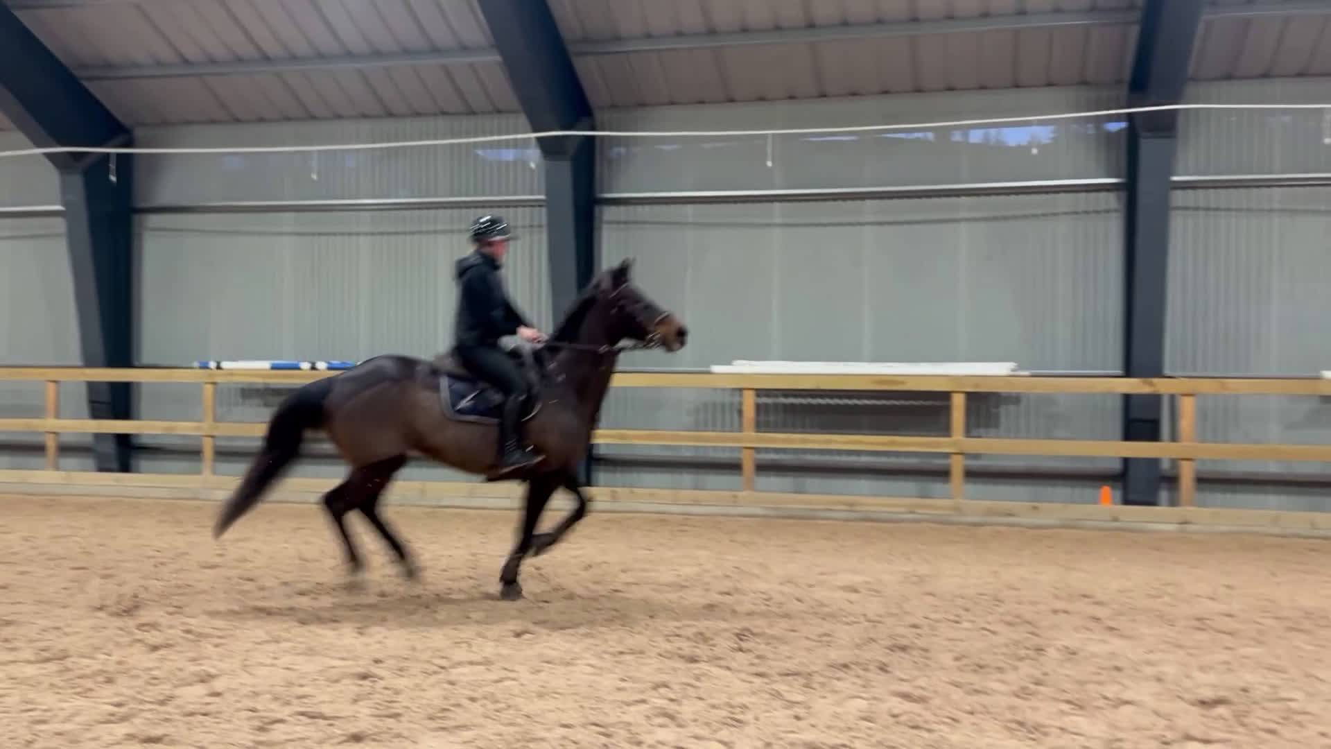 Hoppning hästar till salu: Fin tävlingshäst  i Gamleby - Video 3