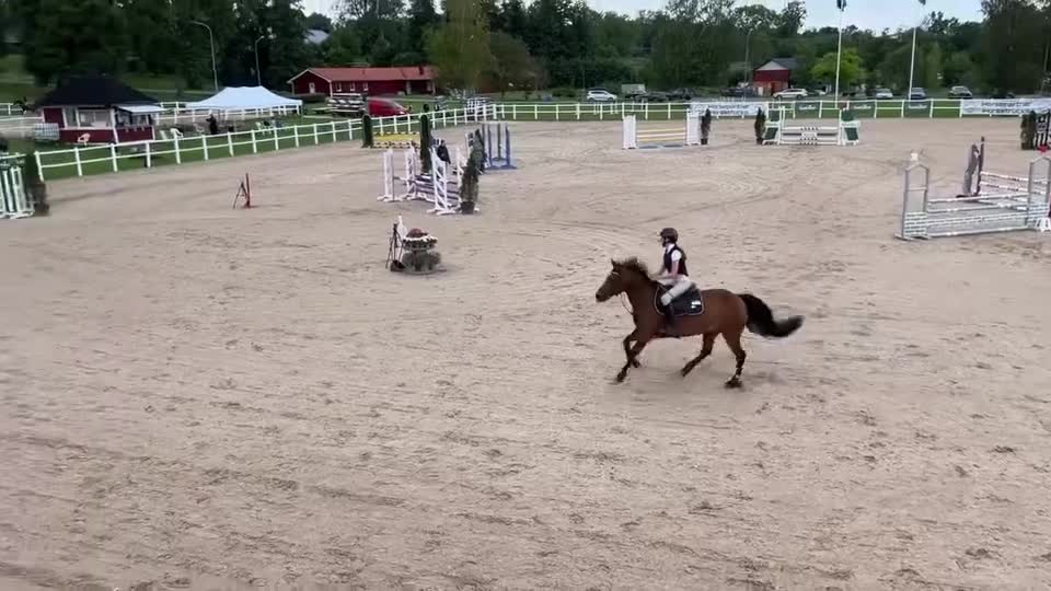 Hoppning hästar till salu: Häftig rallyräka! - Video 3
