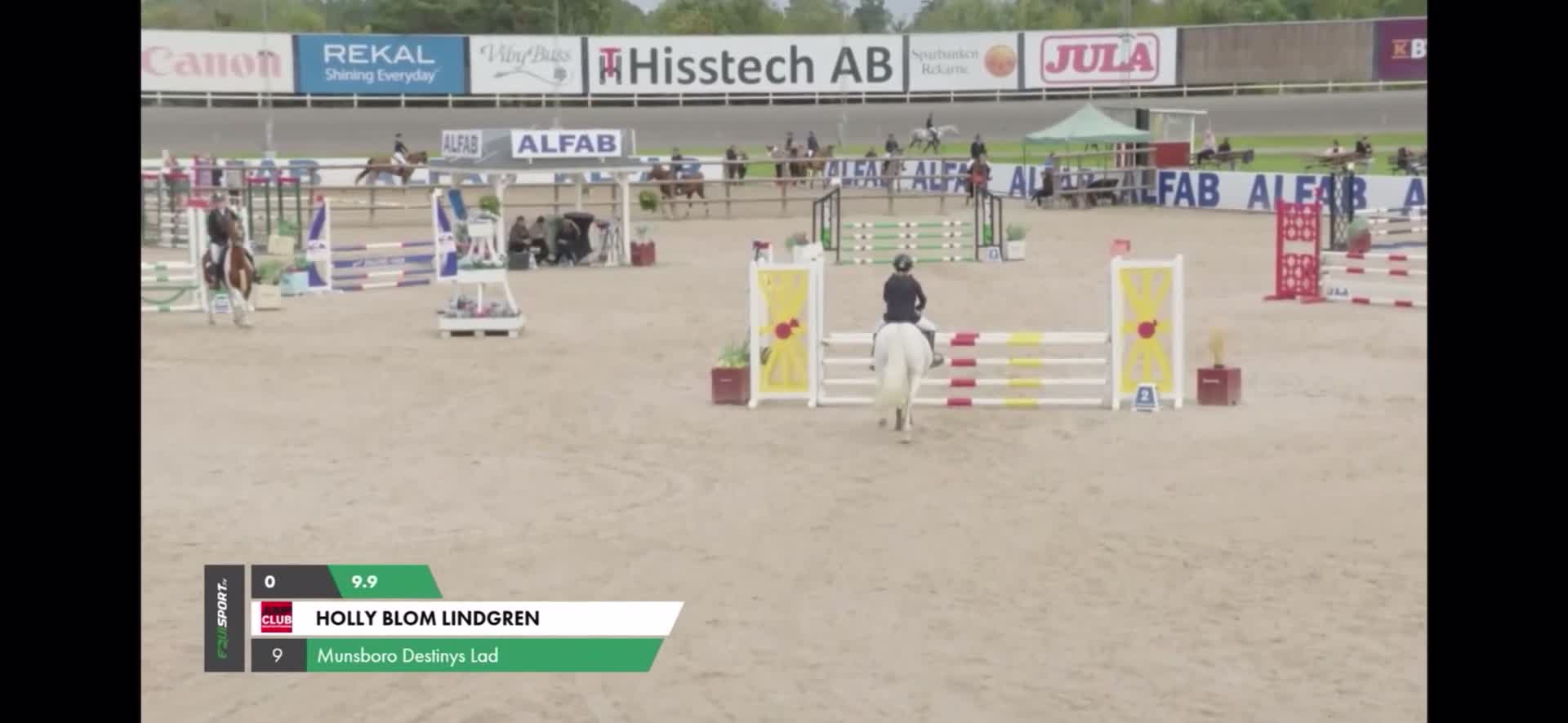 Hoppning hästar till salu: Ponny med kapacitet och hjärta - Video 1
