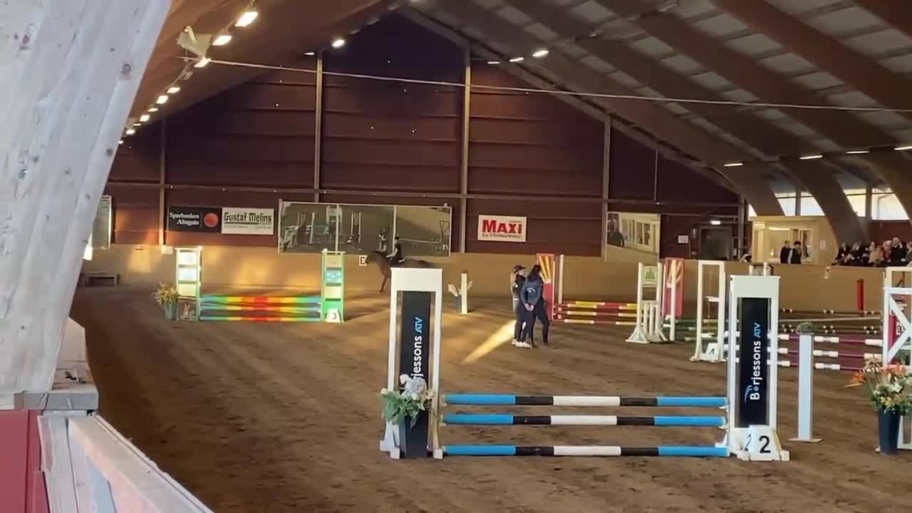 Hoppning hästar sökes: Fin storhäst söker för tonåring!! i Vårgårda - Video 1