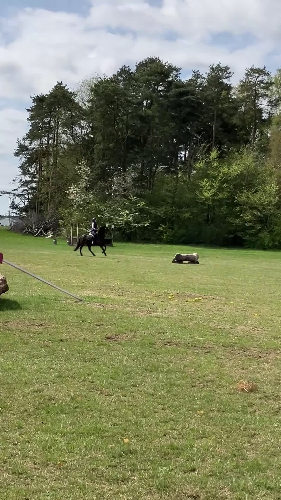 Dressyr hästar till salu: Pigg och glad ponny i Dösjebro - Video 4