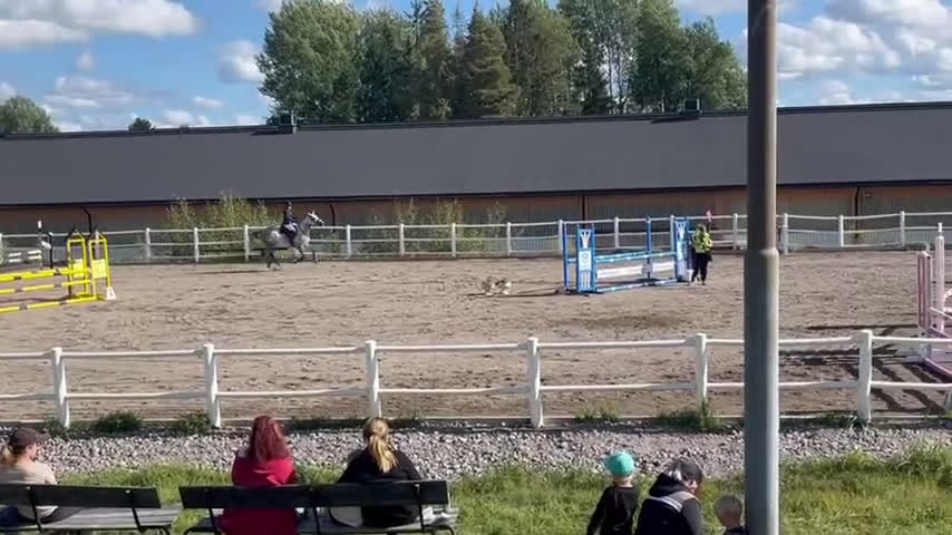 Hoppning hästar till salu: Sto -18 e. Kannatol inkörd multitalang  i Skärplinge - Video 3
