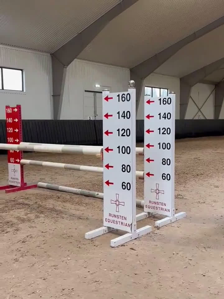 Hoppning hästar till salu: En bästa vän utan begränsningar  i Grisslehamn - Video 2