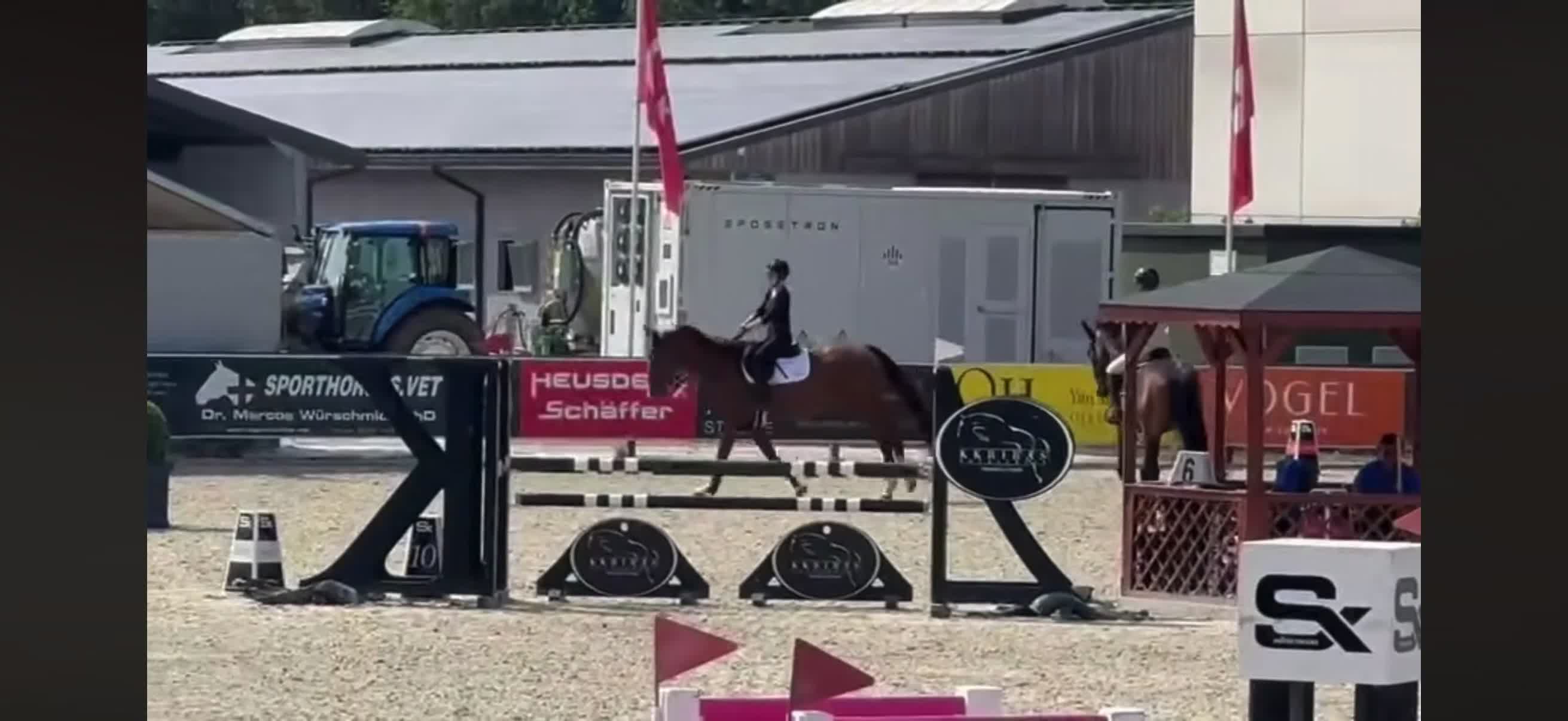 Hoppning hästar till salu: Läromästare 🐴 - Video 4