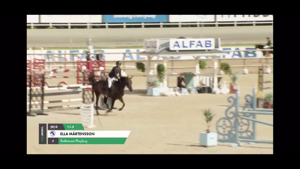 Hoppning hästar till salu: D-ponny till satsande ryttare - Video 2