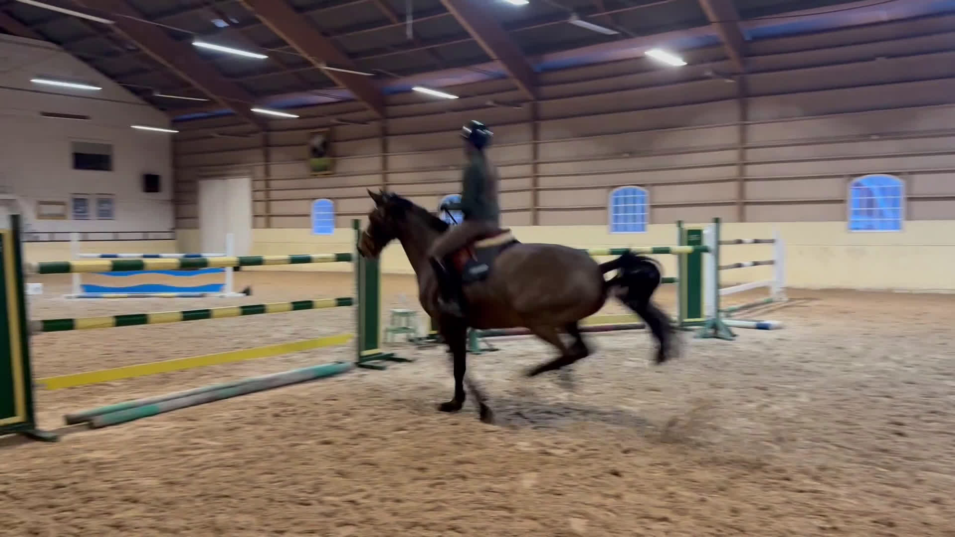 Hoppning hästar till salu: Sto med fin hoppteknik - Video 1