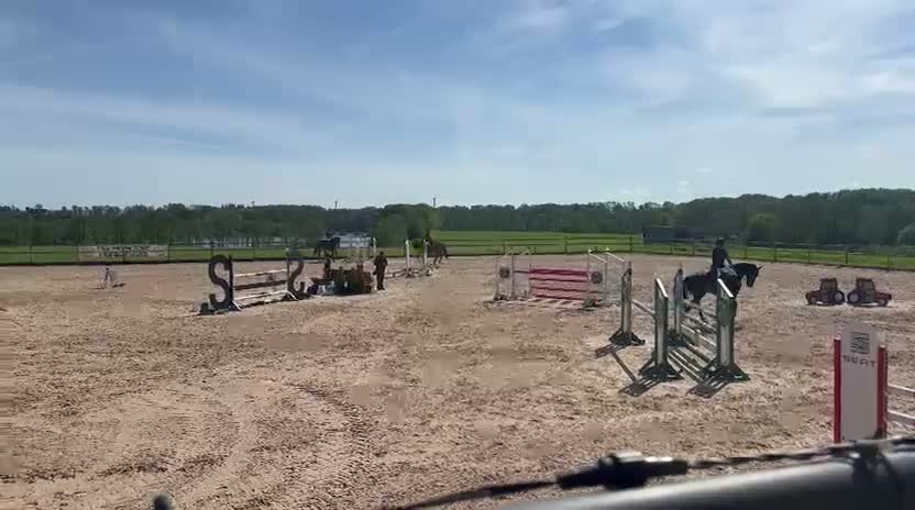 Hoppning hästar till salu: Trevlig valack född -21 - Video 1