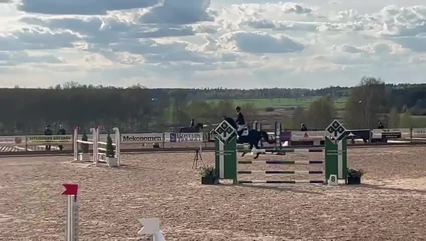 Hoppning hästar till salu: 2019 : e: Favorit Ask, 130 nivå i Nybro - Video 1
