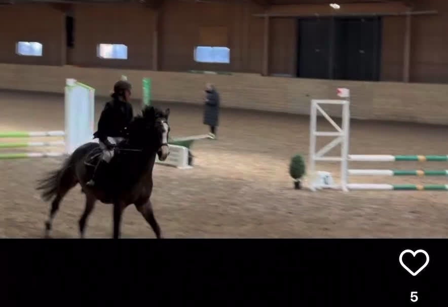  medryttarhäst finnes: Erfaren medryttare till häftig Swb hopp/dressyr i Västerhaninge - Video 3