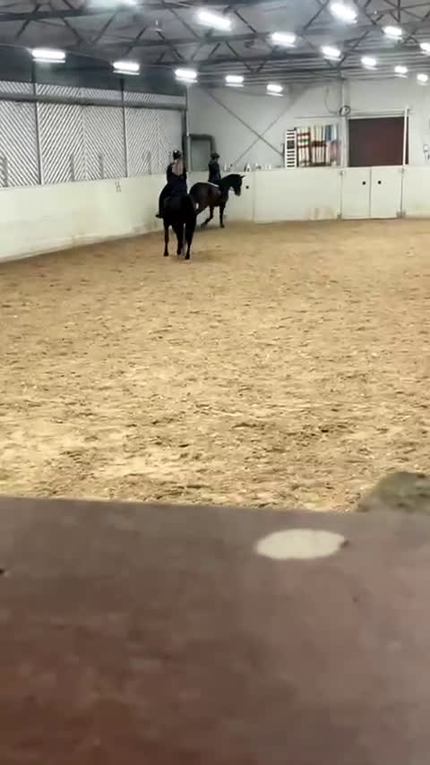 Allround hästar sökes: ⚠️MEDRYTTARHÄST/FÖDERHÄST SÖKES I SUNDSVALL⚠️ i Sundsvall - Video 2