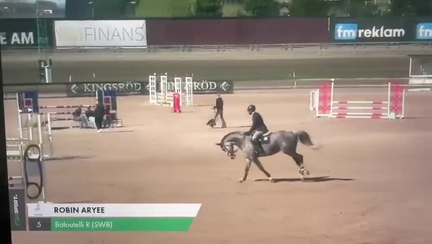 Allround hästar till salu: Häftig valack säljes 🌟  - Video 1