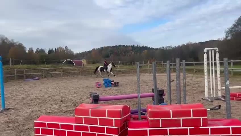 Allround hästar till salu: Fin 6 åring grön för sin ålder - Video 1