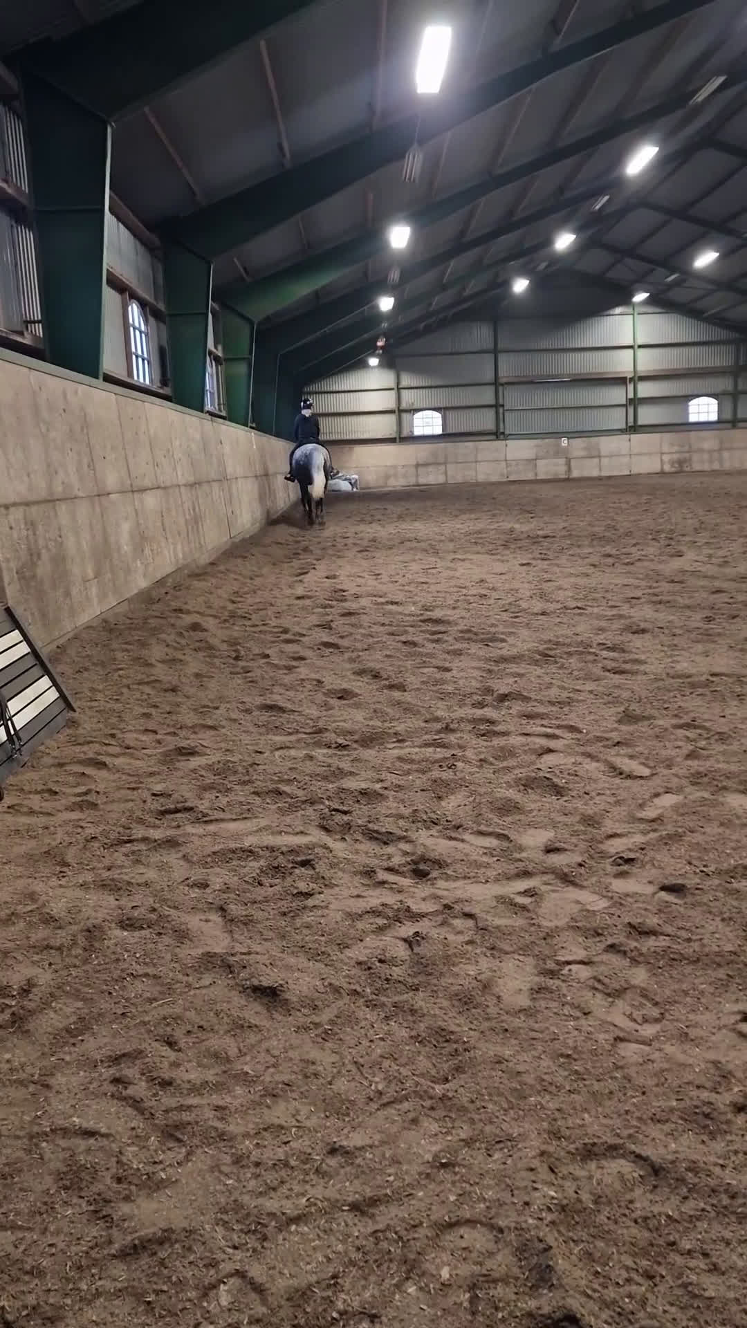 Allround hästar till salu: #RESERVERAD# Perfekt familjehäst till salu i Kristianstad - Video 2