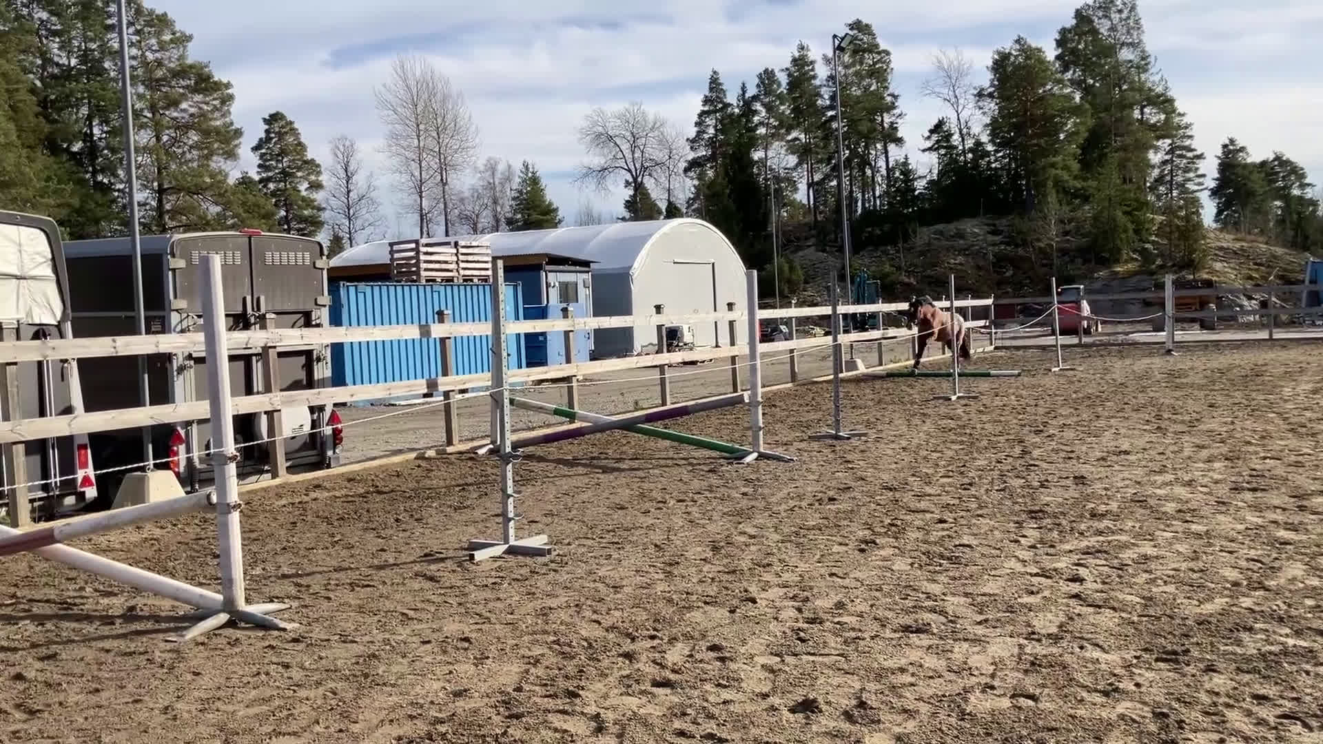 Allround hästar till salu: Trygg bästa vän! i Åkersberga - Video 4