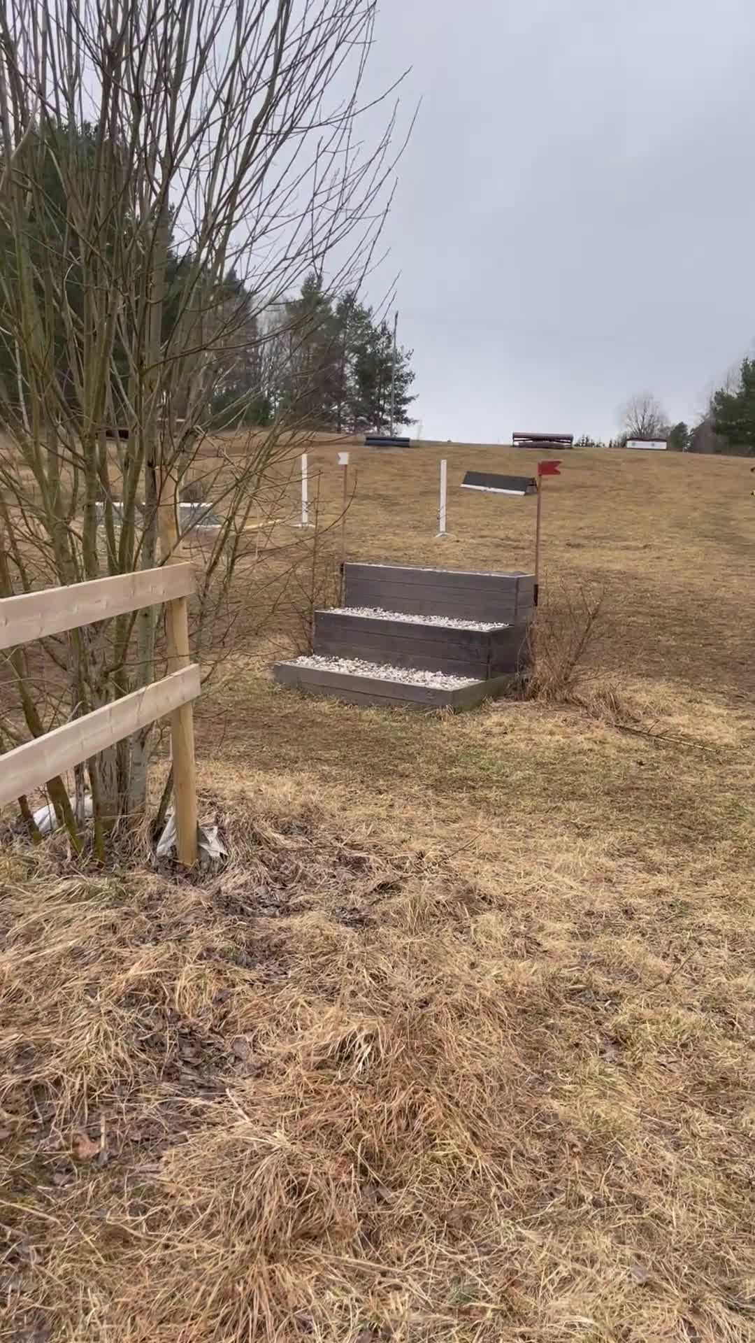 Hoppning hästar till salu: Fantastisk B-ponny Welsh – tävlingsponny i Sollentuna - Video 1