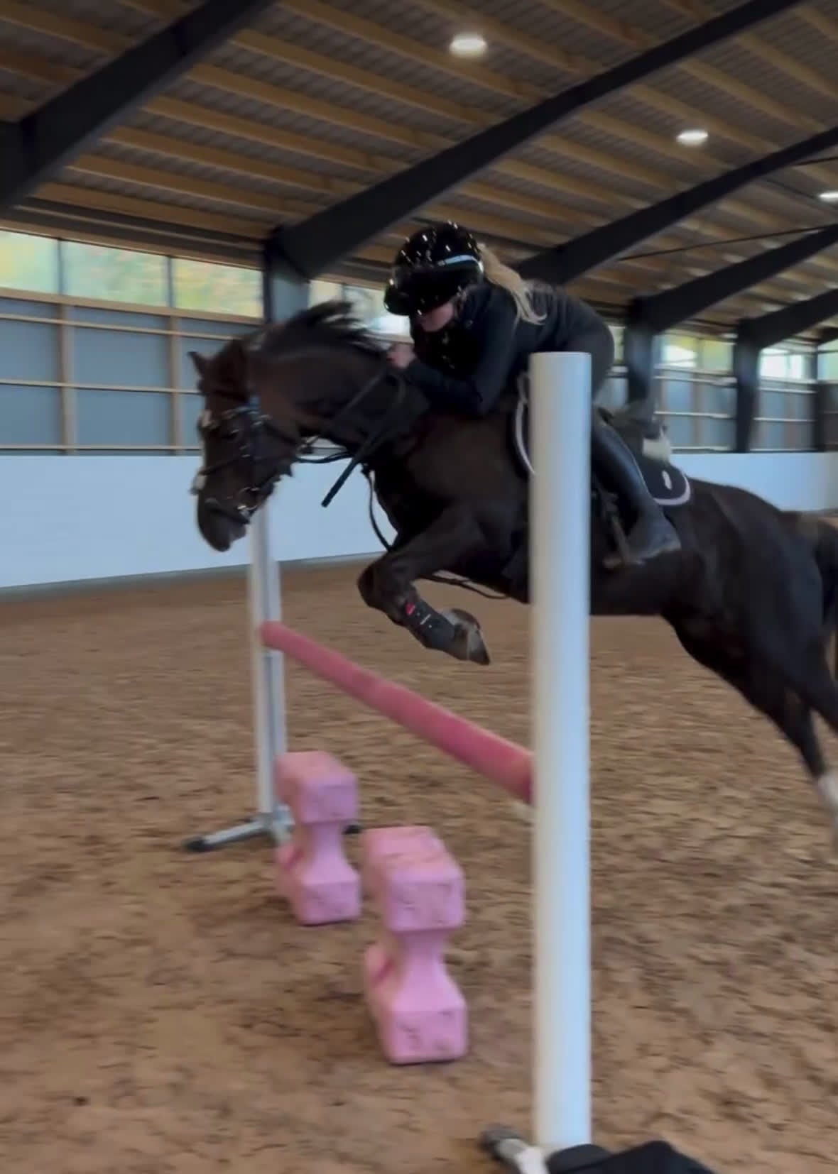Hoppning hästar till salu: Häftig ponny för de största! i Västra Tunhem - Video 2
