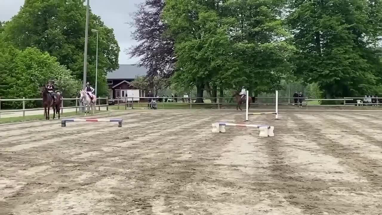 Hoppning hästar sökes: SÖKER HÄST!! - Video 3