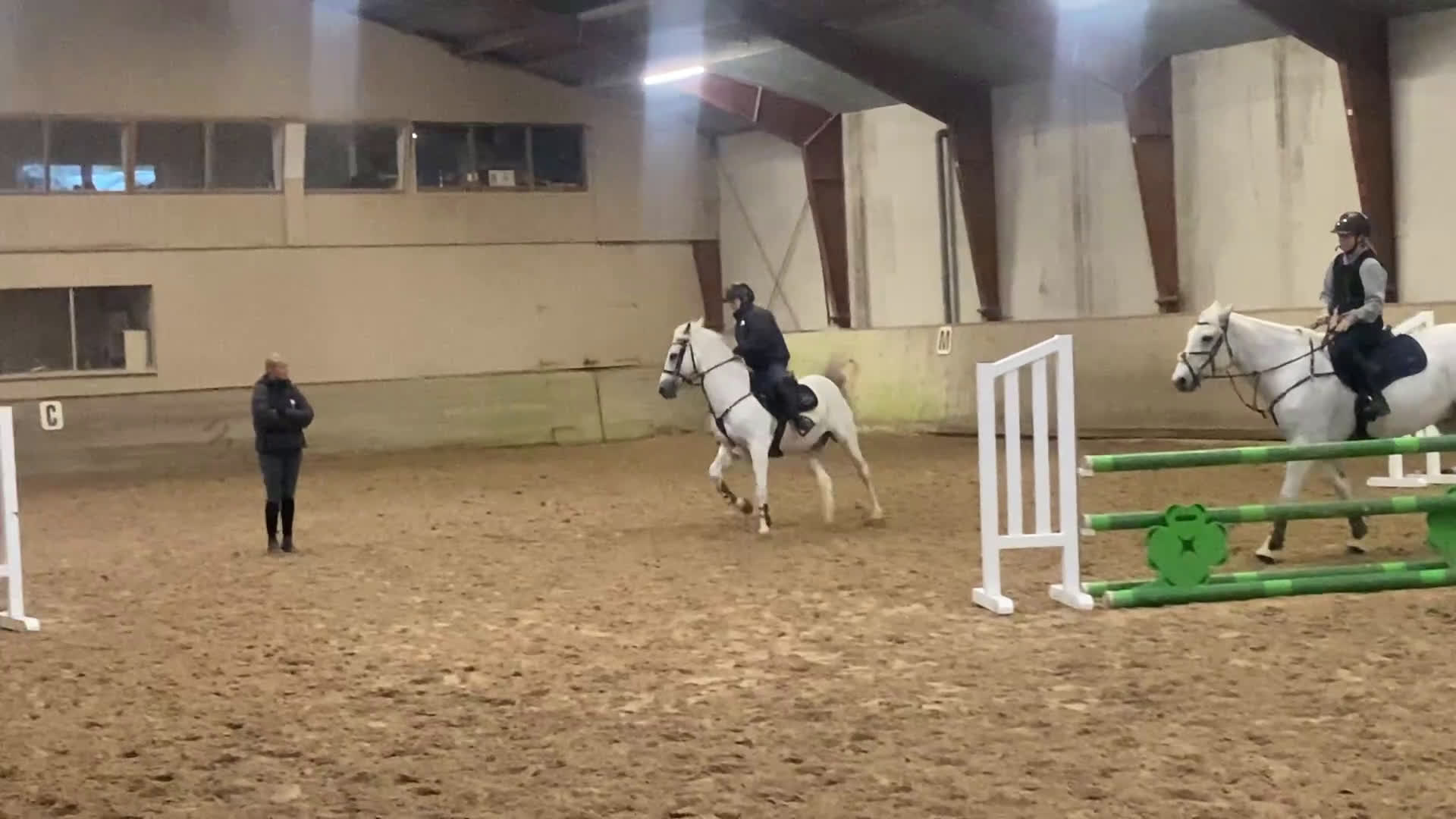 Hoppning hästar till salu: Springpony - Video 1