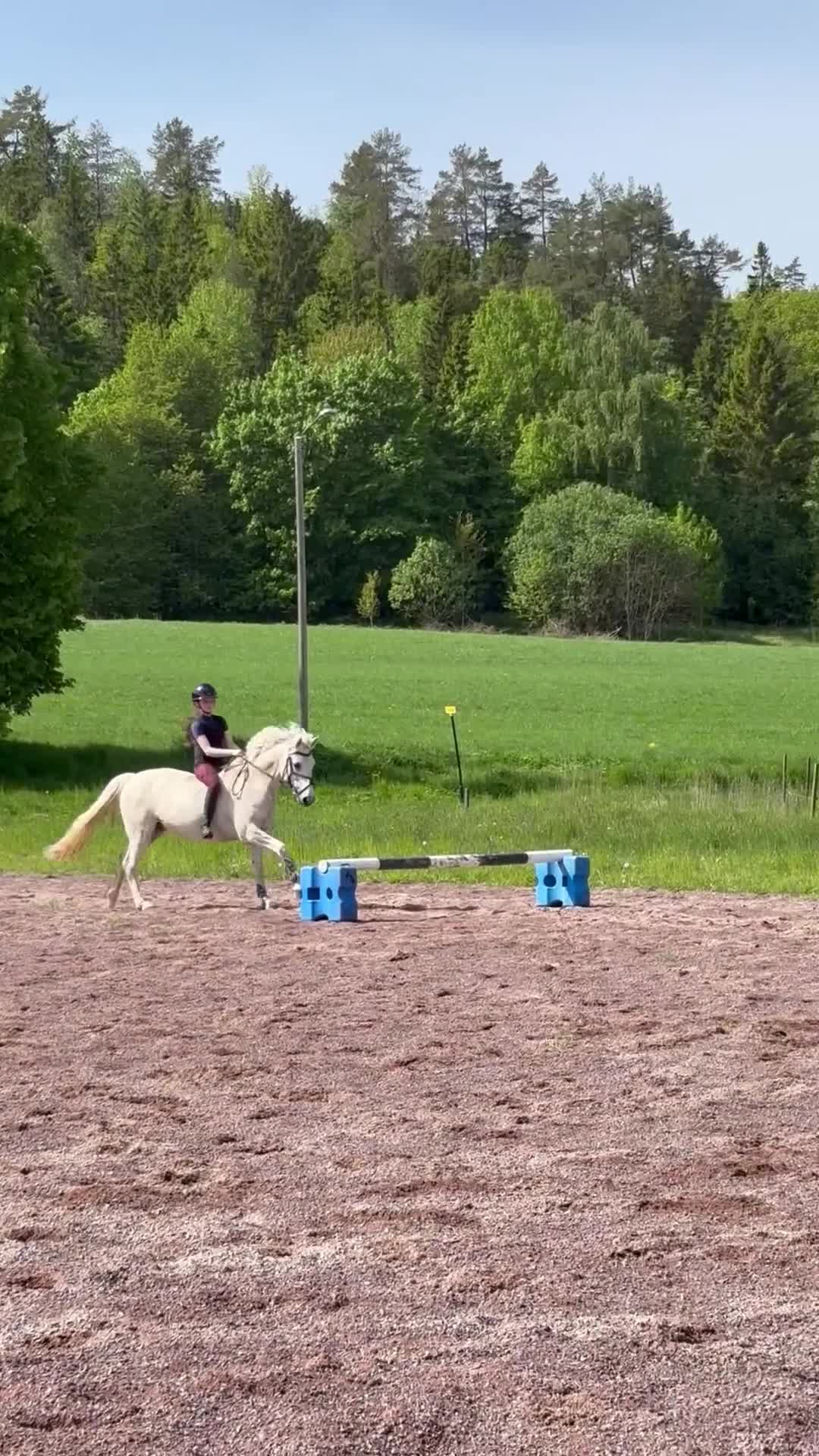 Övrigt hästar till salu: Snäll maxad c-ponny  - Video 2