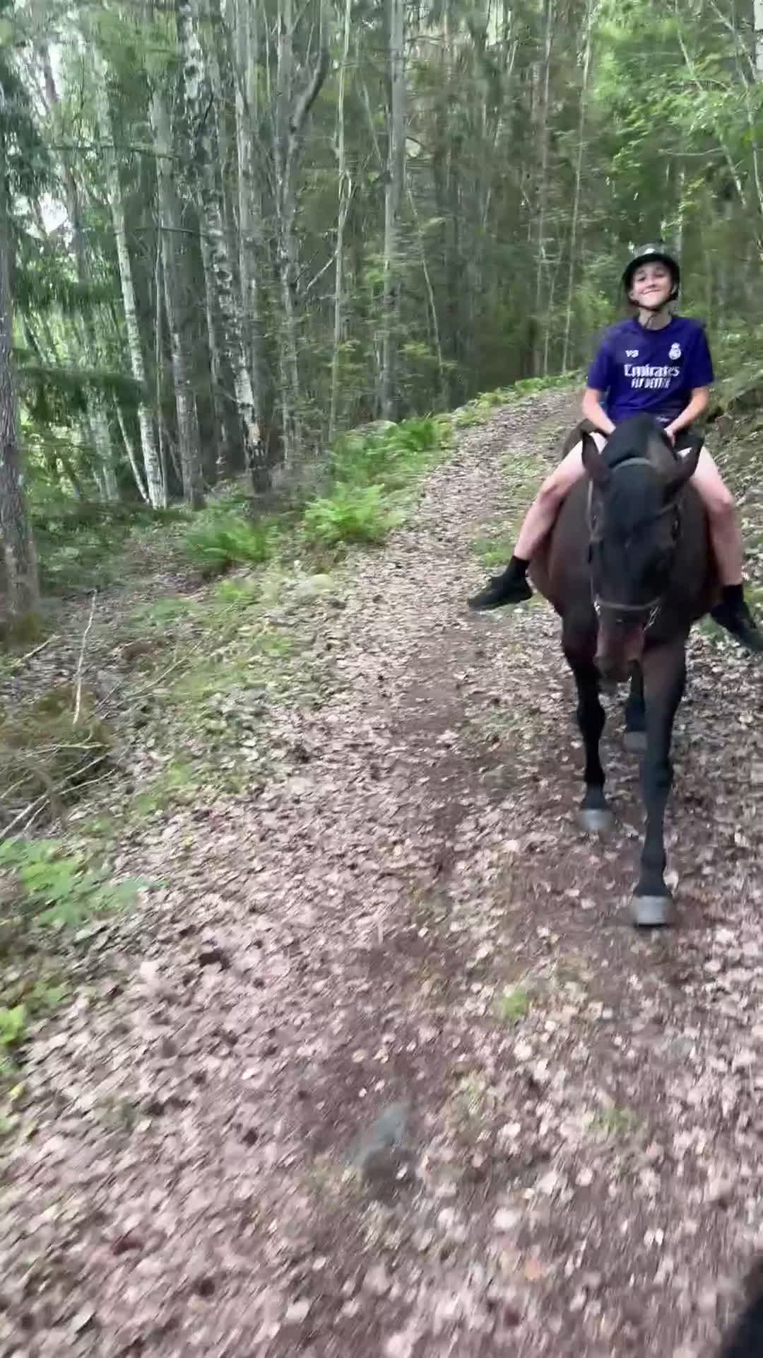 Allround hästar till salu: Avel/ hobbyridning  - Video 1