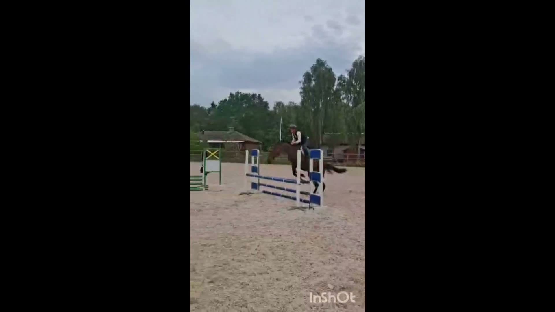 Hoppning hästar till salu: Lovande 4årigt sto med fantastisk prestationsstam! - Video 3
