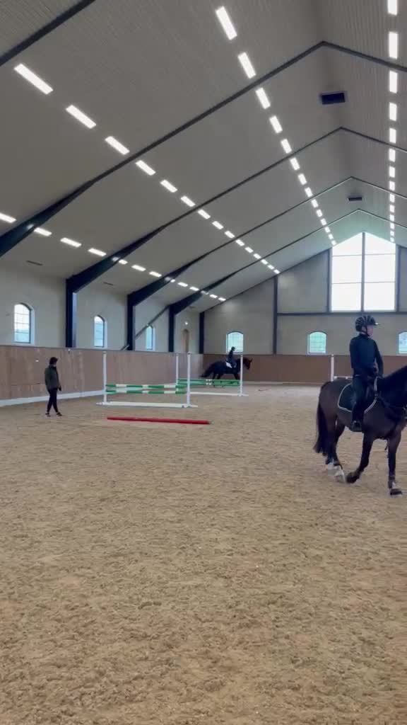 Hoppning hästar till salu: Maffigt hoppsto med kanonstam  - Video 5
