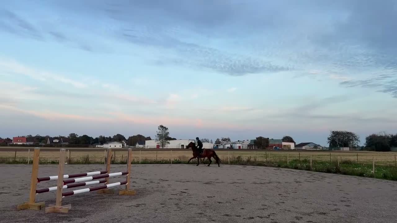 Hoppning hästar till salu: Påbörjad inhoppning framtida kvalitetshäst i Laholm - Video 5
