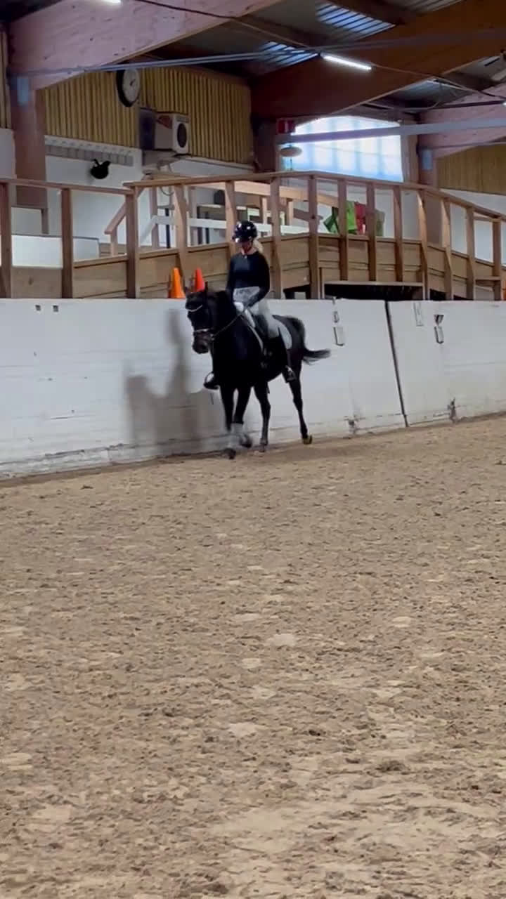 Dressyr hästar till salu: Jättefin ponny tillsalu❤️ - Video 2