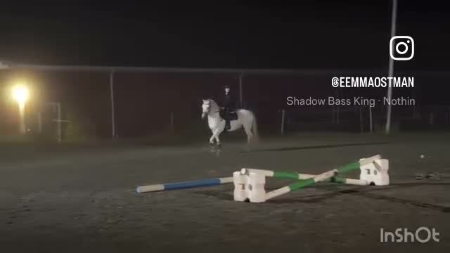 Hoppning hästar till salu: Ponnyn för de högsta klasserna! - Video 1