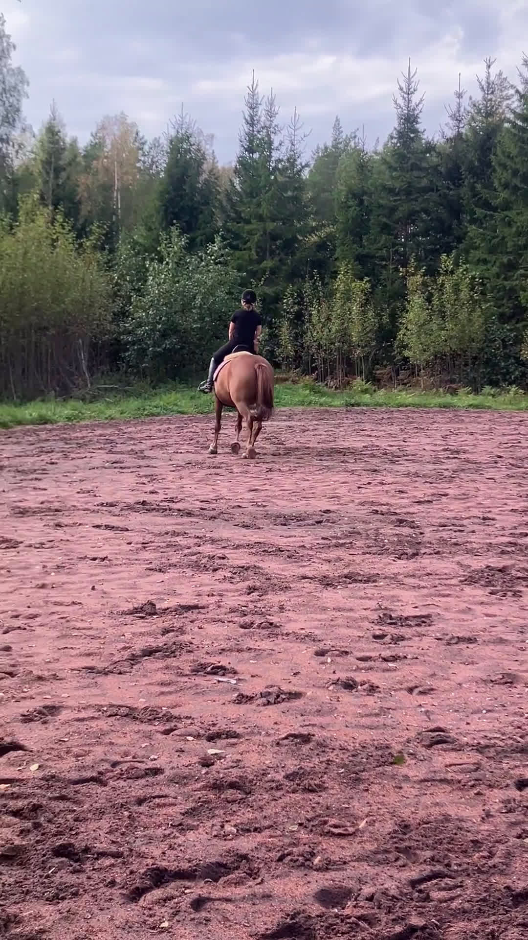 Allround hästar till salu: Trevligt ponnysto i Pargas - Video 4
