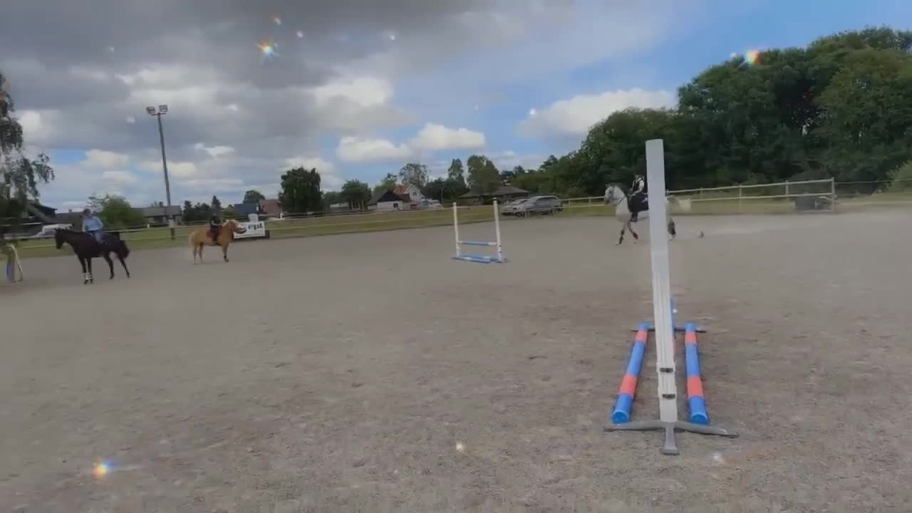 Working Equitation hästar till salu: Mångsidig PRE-valack i Asmundtorp - Video 3