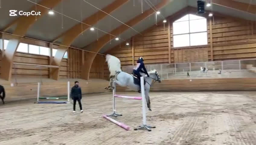 Hoppning hästar till salu: Magisk läromästare  i Upplands Väsby - Video 4