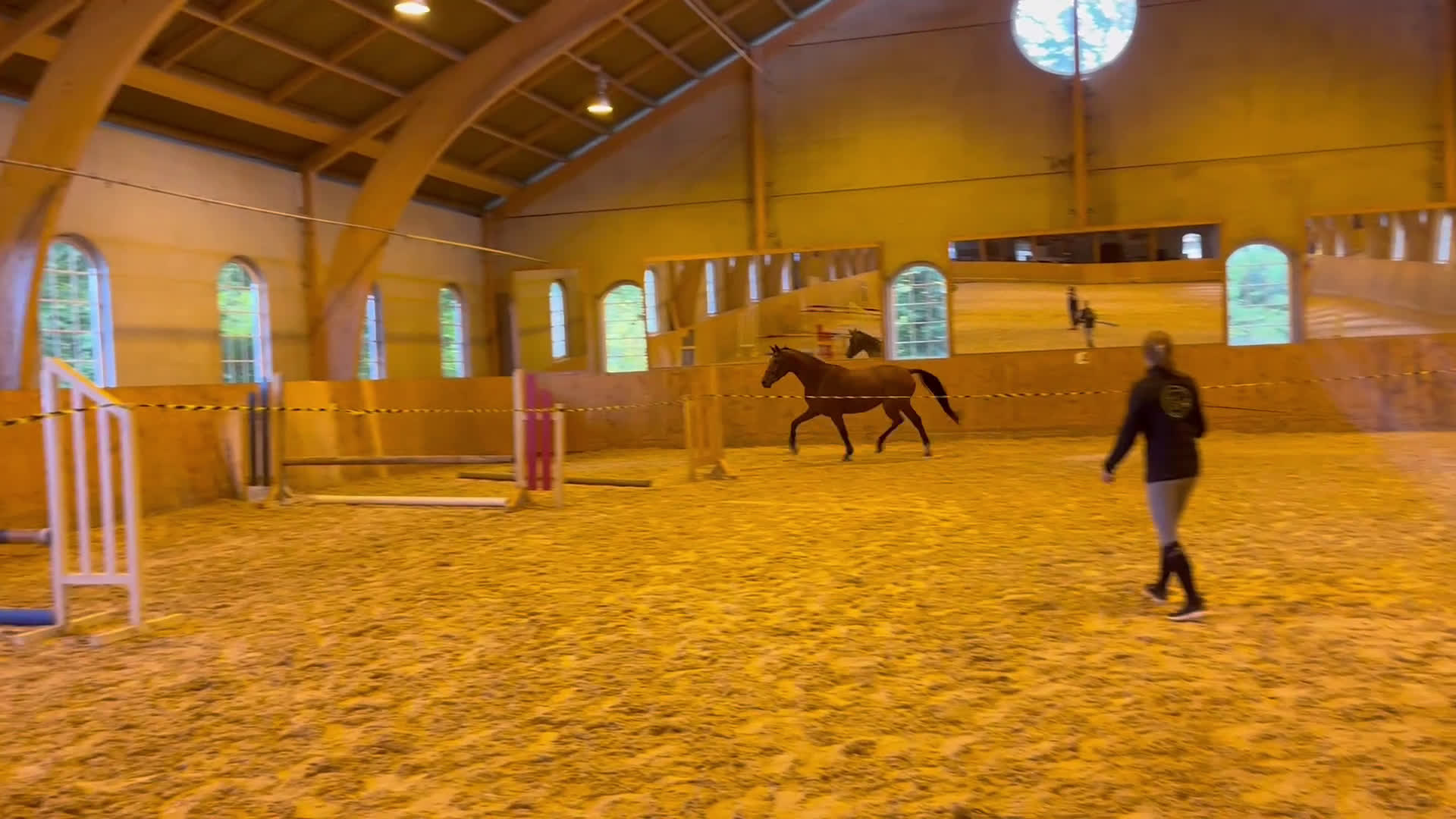 Hoppning hästar till salu: 3st Halvblod.  - Video 1