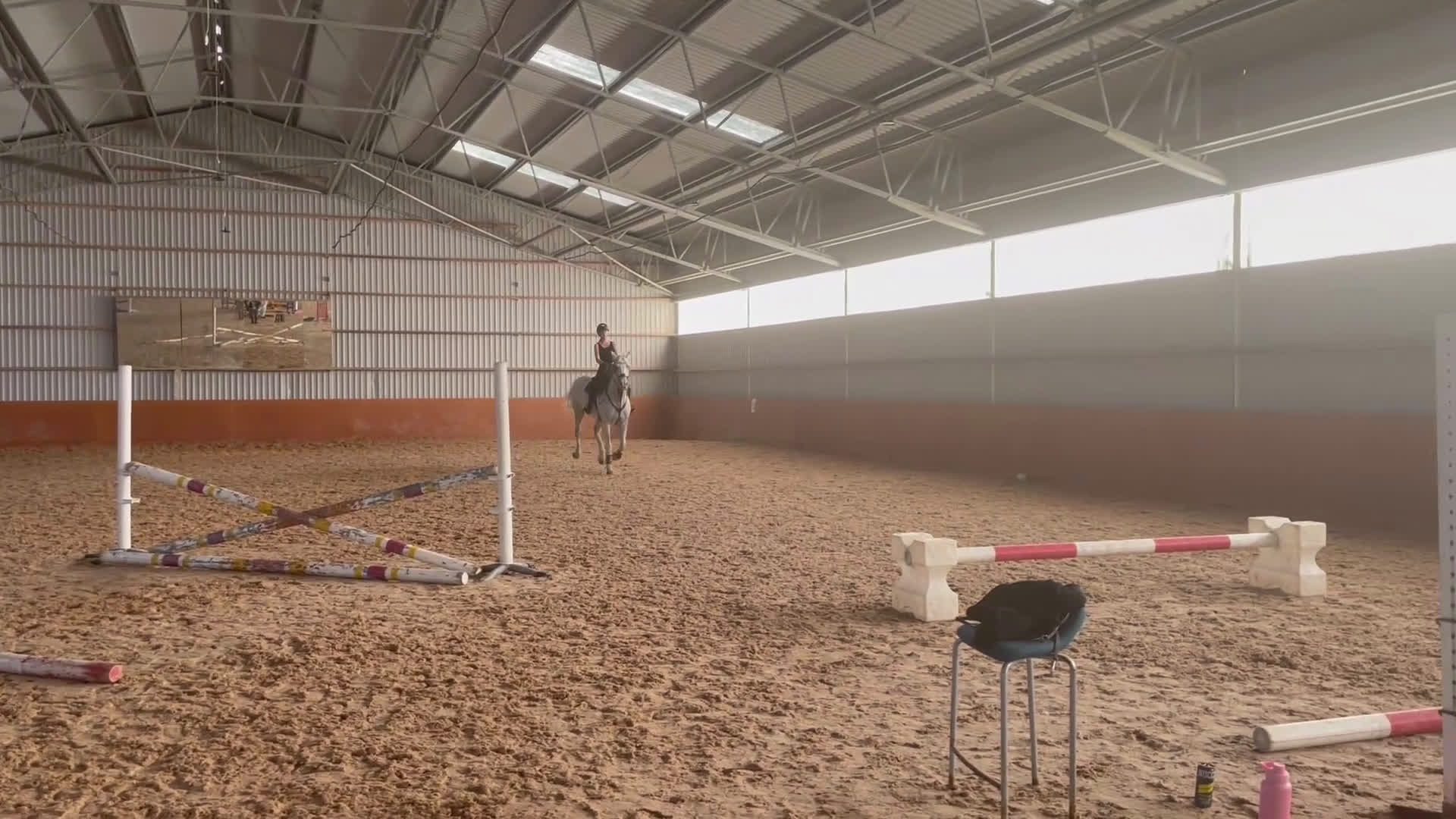 Hoppning hästar till salu: Charmigt sto för den erfarna ryttaren - Video 1