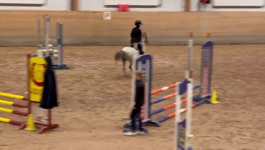 Hoppning hästar till salu: En kvalitetsponny!  i Skellefteå - Video 1
