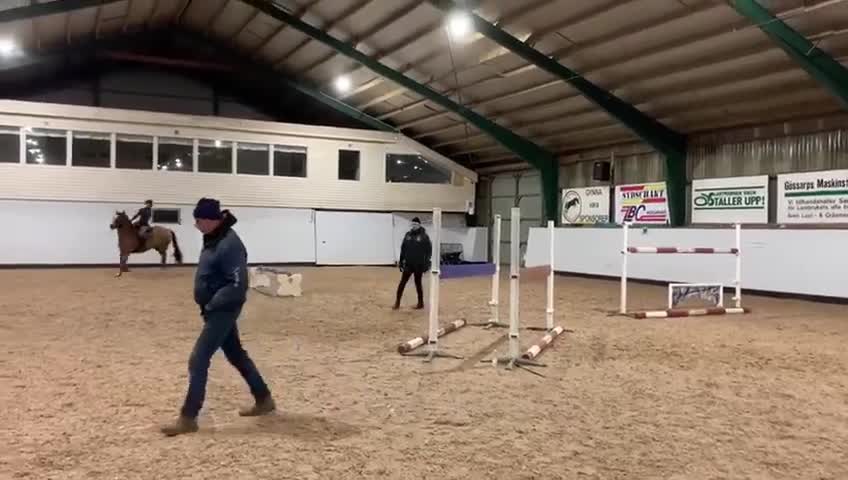 Hoppning hästar till salu: Underbart stoföl född 17/5! - Video 3