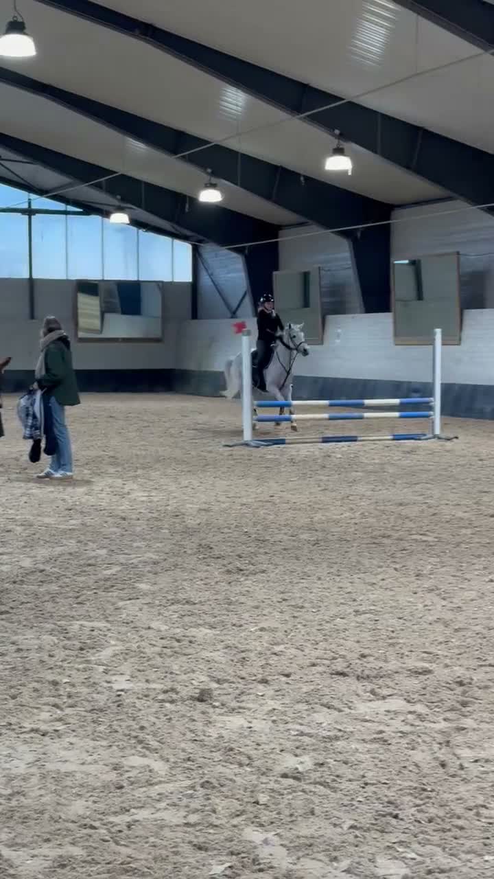Hoppning hästar till salu: Maxad c-ponny - Video 2