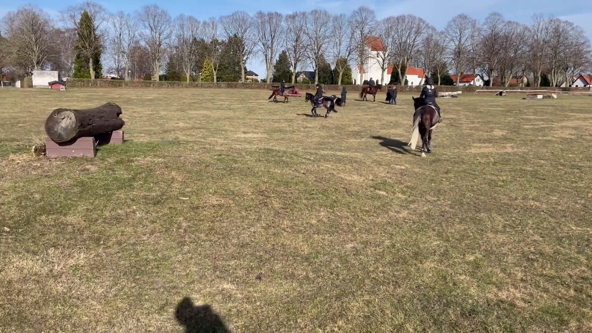 Allround hästar till salu: SM ponny i hoppning och fälttävlan till salu i Dösjebro - Video 3